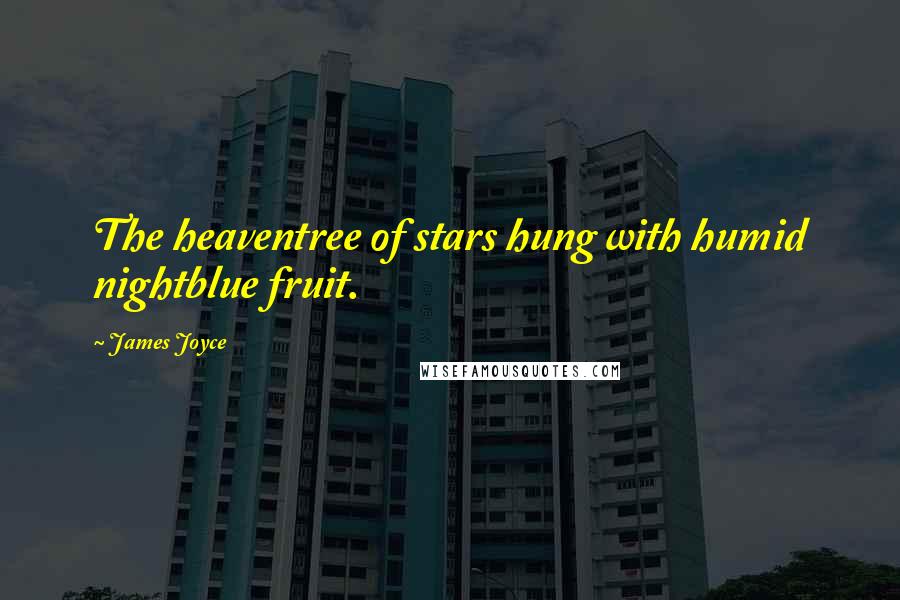 James Joyce Quotes: The heaventree of stars hung with humid nightblue fruit.