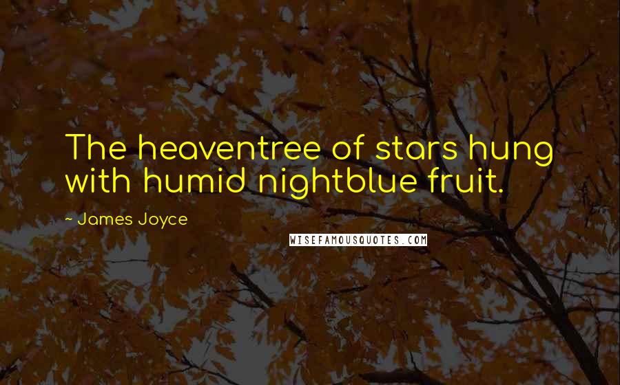 James Joyce Quotes: The heaventree of stars hung with humid nightblue fruit.