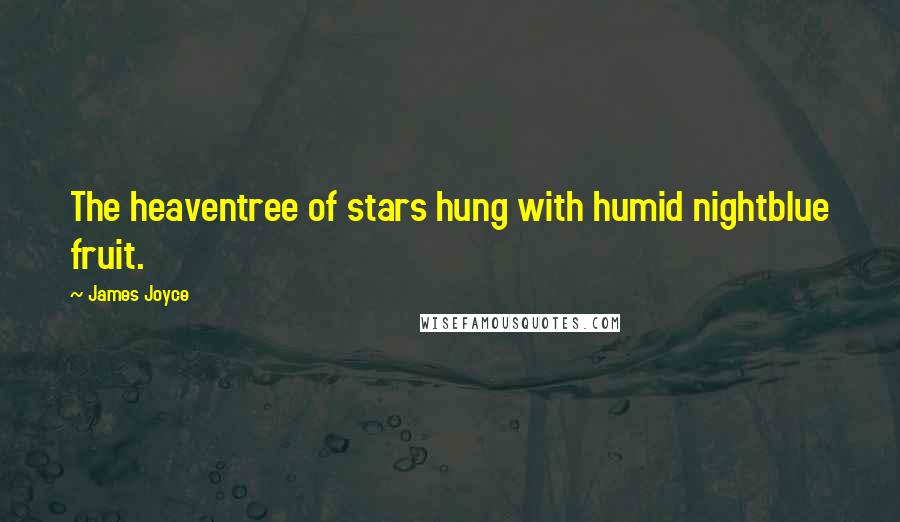 James Joyce Quotes: The heaventree of stars hung with humid nightblue fruit.