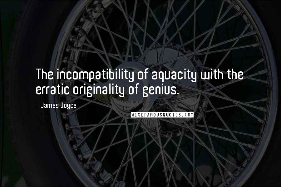 James Joyce Quotes: The incompatibility of aquacity with the erratic originality of genius.