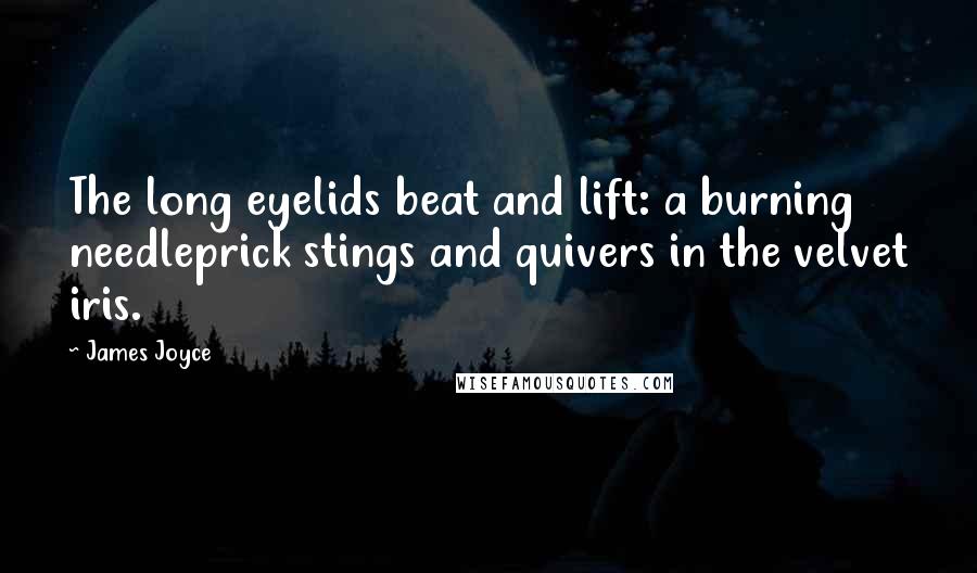 James Joyce Quotes: The long eyelids beat and lift: a burning needleprick stings and quivers in the velvet iris.