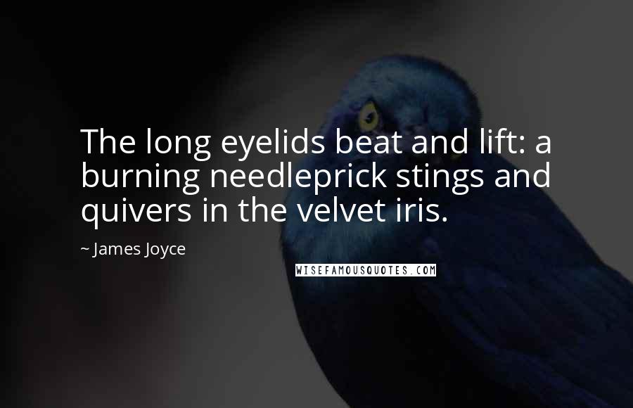 James Joyce Quotes: The long eyelids beat and lift: a burning needleprick stings and quivers in the velvet iris.