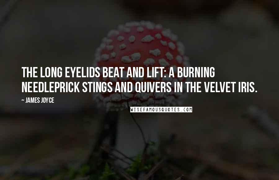 James Joyce Quotes: The long eyelids beat and lift: a burning needleprick stings and quivers in the velvet iris.