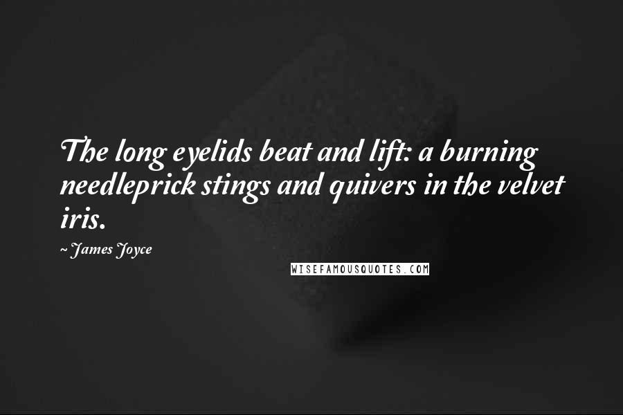 James Joyce Quotes: The long eyelids beat and lift: a burning needleprick stings and quivers in the velvet iris.