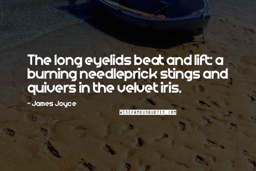 James Joyce Quotes: The long eyelids beat and lift: a burning needleprick stings and quivers in the velvet iris.