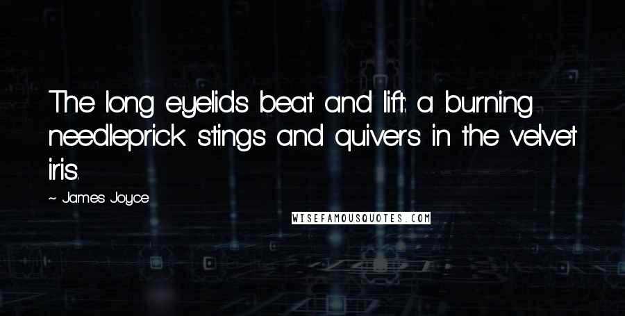 James Joyce Quotes: The long eyelids beat and lift: a burning needleprick stings and quivers in the velvet iris.