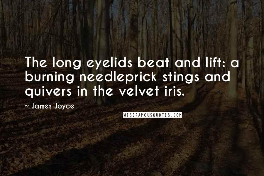 James Joyce Quotes: The long eyelids beat and lift: a burning needleprick stings and quivers in the velvet iris.