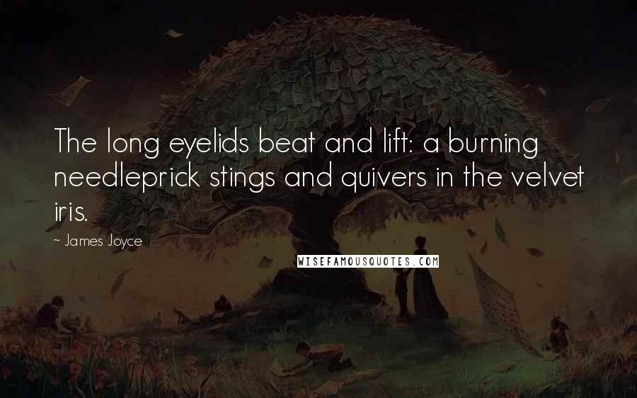 James Joyce Quotes: The long eyelids beat and lift: a burning needleprick stings and quivers in the velvet iris.