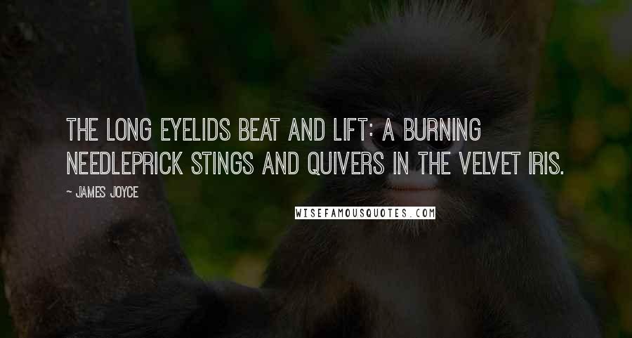 James Joyce Quotes: The long eyelids beat and lift: a burning needleprick stings and quivers in the velvet iris.