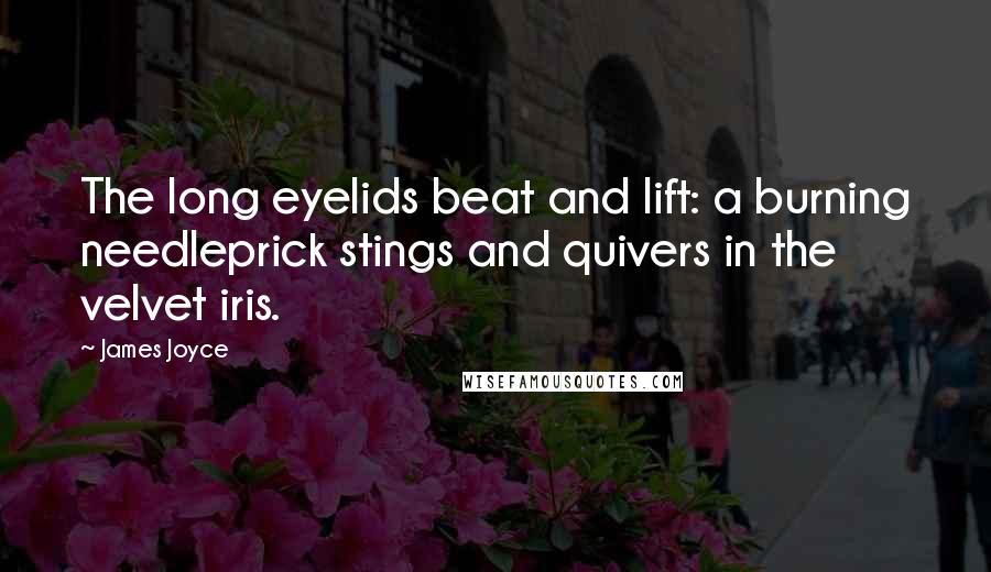 James Joyce Quotes: The long eyelids beat and lift: a burning needleprick stings and quivers in the velvet iris.