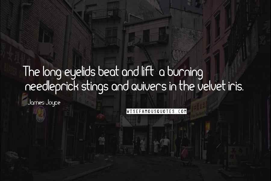 James Joyce Quotes: The long eyelids beat and lift: a burning needleprick stings and quivers in the velvet iris.