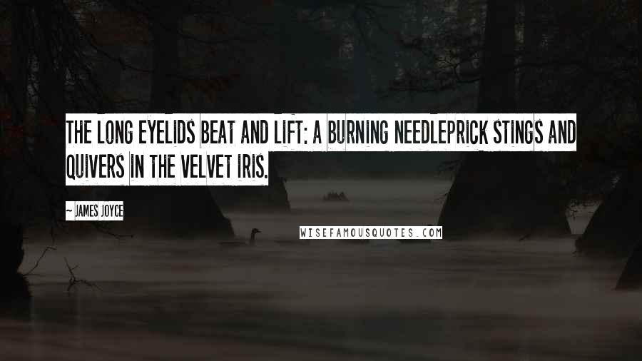 James Joyce Quotes: The long eyelids beat and lift: a burning needleprick stings and quivers in the velvet iris.