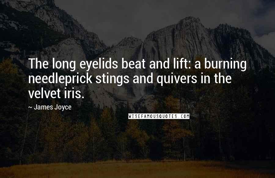 James Joyce Quotes: The long eyelids beat and lift: a burning needleprick stings and quivers in the velvet iris.