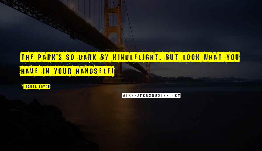 James Joyce Quotes: The park's so dark by kindlelight. But look what you have in your handself!