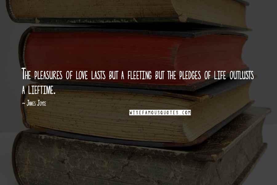 James Joyce Quotes: The pleasures of love lasts but a fleeting but the pledges of life outlusts a lieftime.