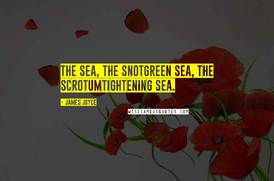 James Joyce Quotes: The sea, the snotgreen sea, the scrotumtightening sea.