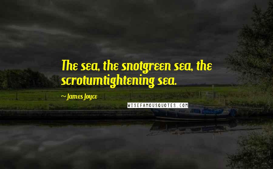 James Joyce Quotes: The sea, the snotgreen sea, the scrotumtightening sea.