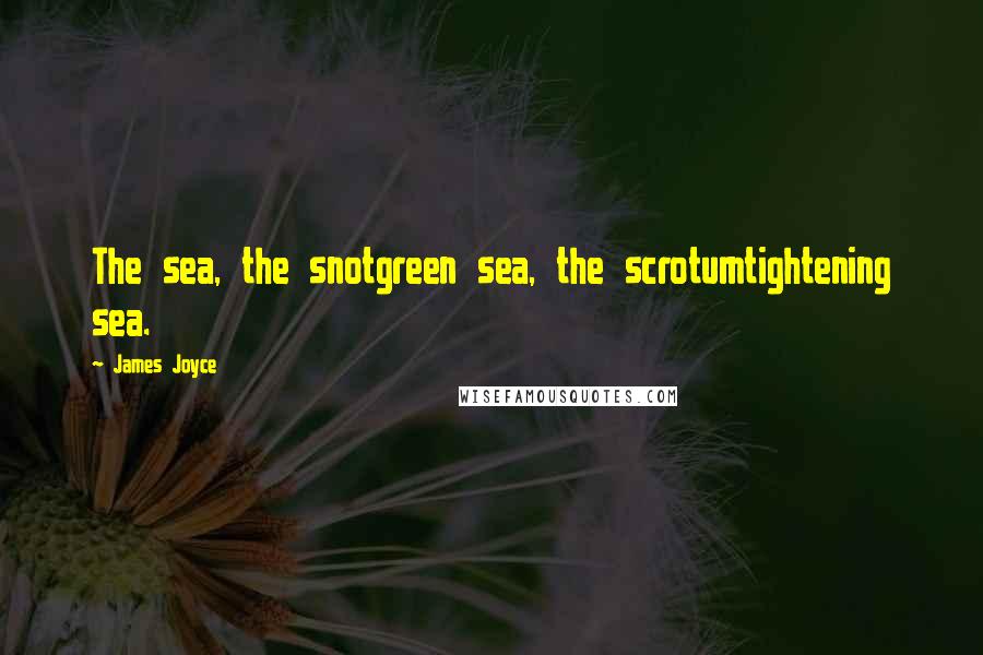 James Joyce Quotes: The sea, the snotgreen sea, the scrotumtightening sea.