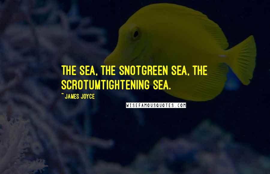 James Joyce Quotes: The sea, the snotgreen sea, the scrotumtightening sea.