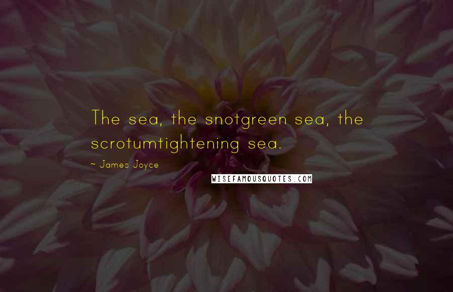 James Joyce Quotes: The sea, the snotgreen sea, the scrotumtightening sea.