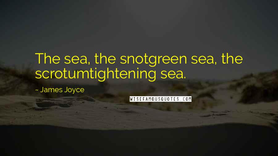 James Joyce Quotes: The sea, the snotgreen sea, the scrotumtightening sea.