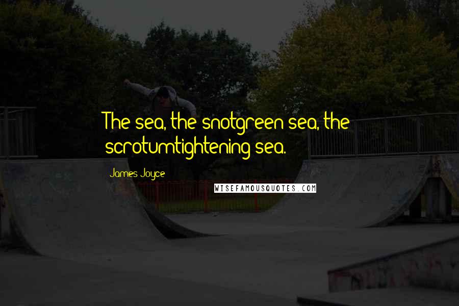 James Joyce Quotes: The sea, the snotgreen sea, the scrotumtightening sea.