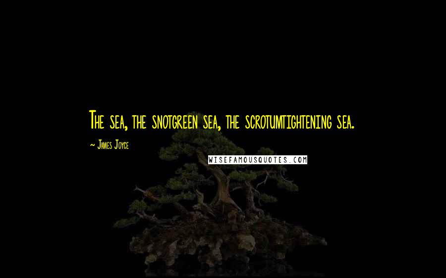 James Joyce Quotes: The sea, the snotgreen sea, the scrotumtightening sea.