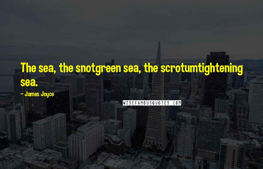 James Joyce Quotes: The sea, the snotgreen sea, the scrotumtightening sea.