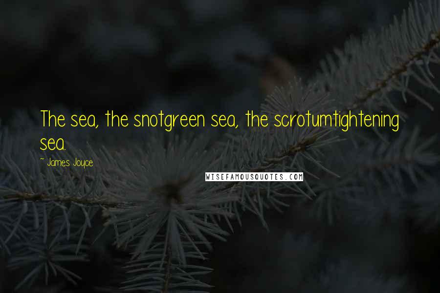 James Joyce Quotes: The sea, the snotgreen sea, the scrotumtightening sea.