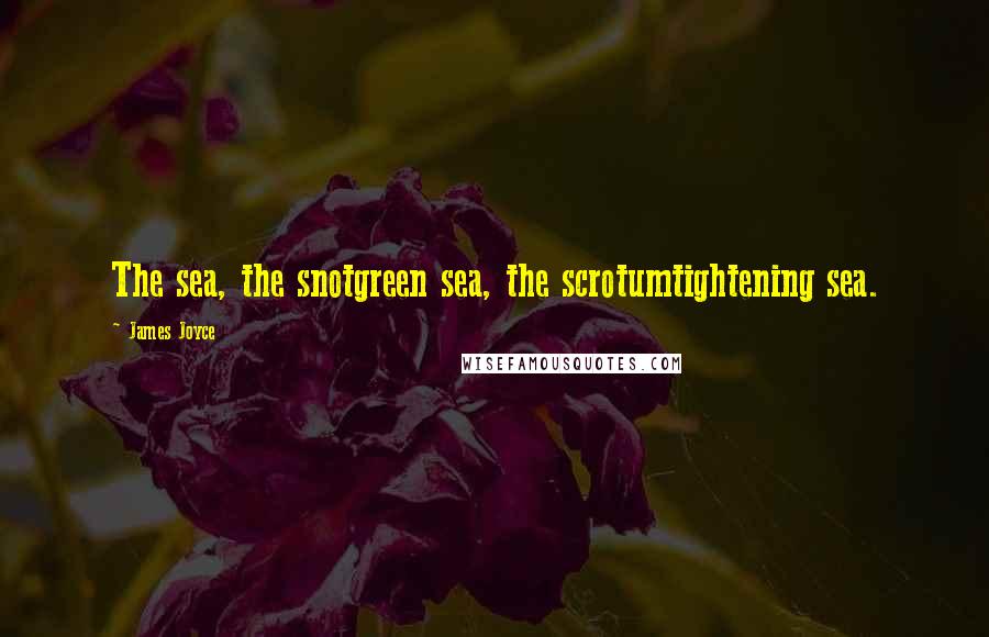 James Joyce Quotes: The sea, the snotgreen sea, the scrotumtightening sea.