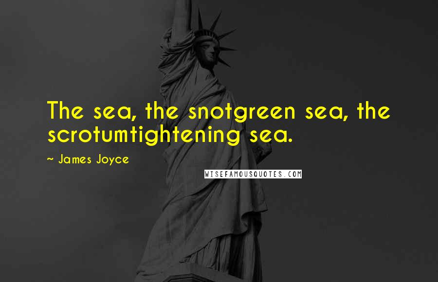 James Joyce Quotes: The sea, the snotgreen sea, the scrotumtightening sea.