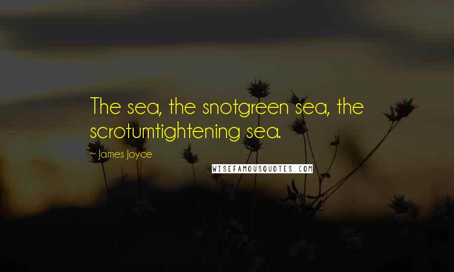 James Joyce Quotes: The sea, the snotgreen sea, the scrotumtightening sea.