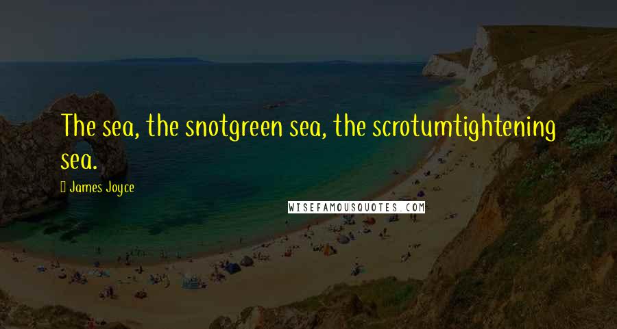 James Joyce Quotes: The sea, the snotgreen sea, the scrotumtightening sea.