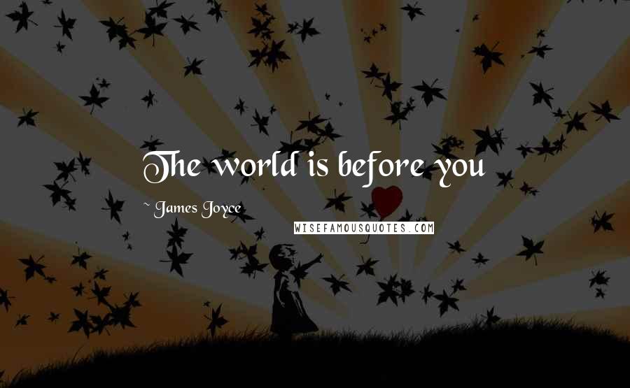 James Joyce Quotes: The world is before you