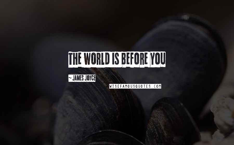 James Joyce Quotes: The world is before you