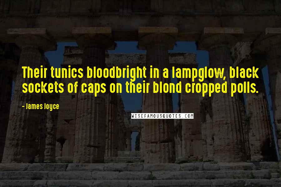 James Joyce Quotes: Their tunics bloodbright in a lampglow, black sockets of caps on their blond cropped polls.