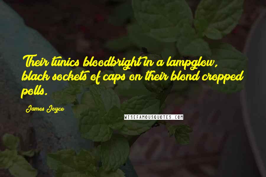 James Joyce Quotes: Their tunics bloodbright in a lampglow, black sockets of caps on their blond cropped polls.