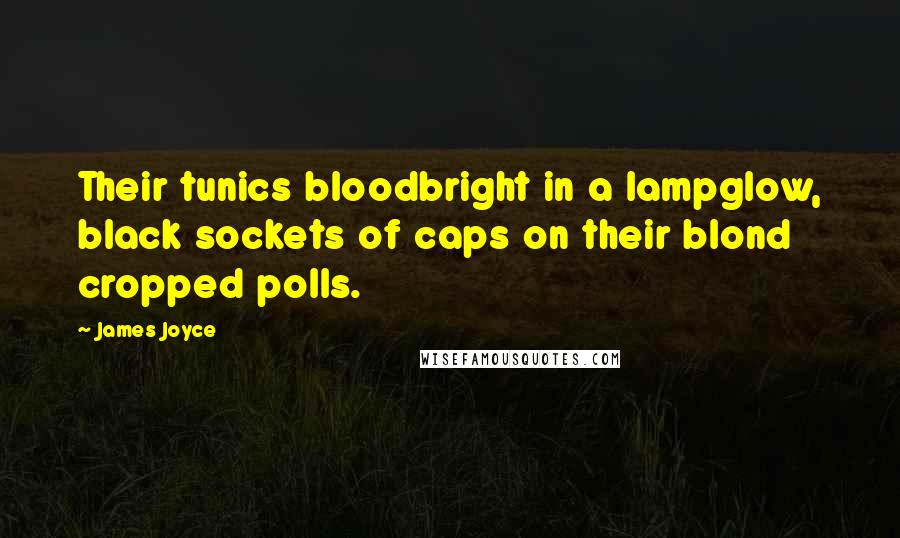 James Joyce Quotes: Their tunics bloodbright in a lampglow, black sockets of caps on their blond cropped polls.