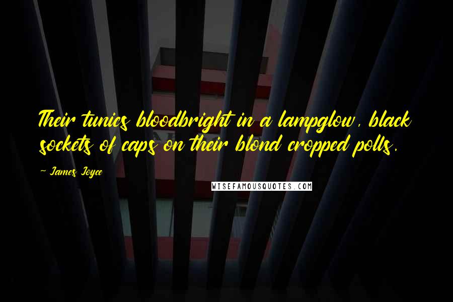 James Joyce Quotes: Their tunics bloodbright in a lampglow, black sockets of caps on their blond cropped polls.