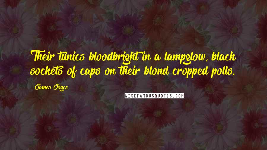 James Joyce Quotes: Their tunics bloodbright in a lampglow, black sockets of caps on their blond cropped polls.