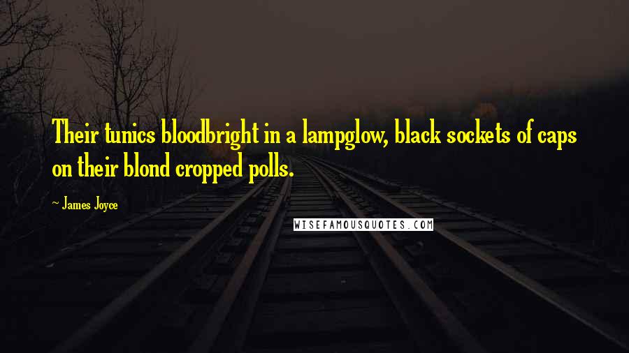 James Joyce Quotes: Their tunics bloodbright in a lampglow, black sockets of caps on their blond cropped polls.