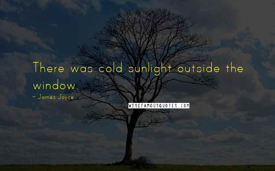 James Joyce Quotes: There was cold sunlight outside the window.