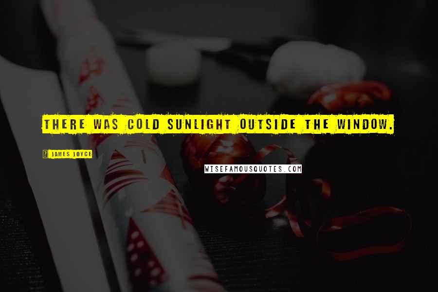 James Joyce Quotes: There was cold sunlight outside the window.