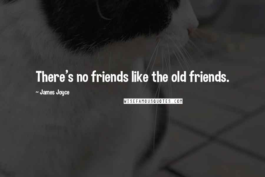 James Joyce Quotes: There's no friends like the old friends.
