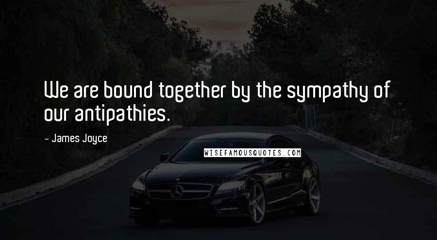 James Joyce Quotes: We are bound together by the sympathy of our antipathies.