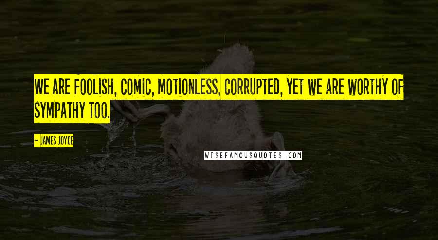 James Joyce Quotes: We are foolish, comic, motionless, corrupted, yet we are worthy of sympathy too.