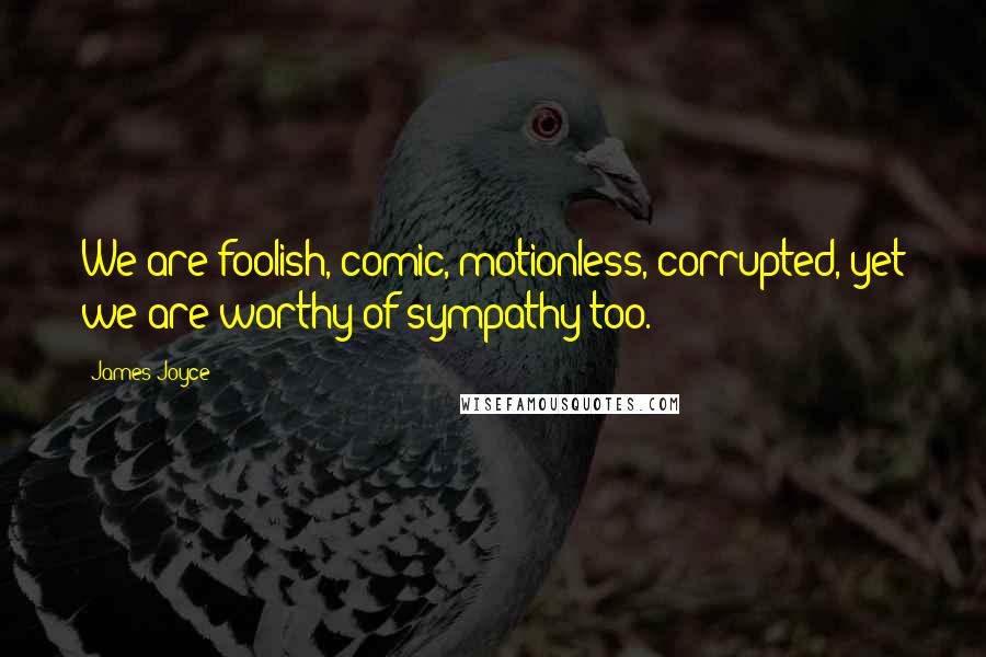 James Joyce Quotes: We are foolish, comic, motionless, corrupted, yet we are worthy of sympathy too.