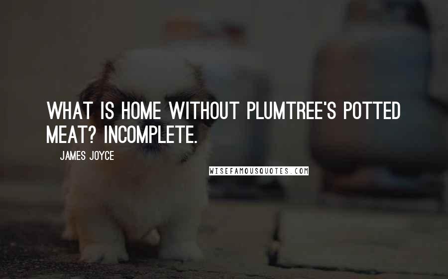 James Joyce Quotes: What is home without Plumtree's Potted Meat? Incomplete.