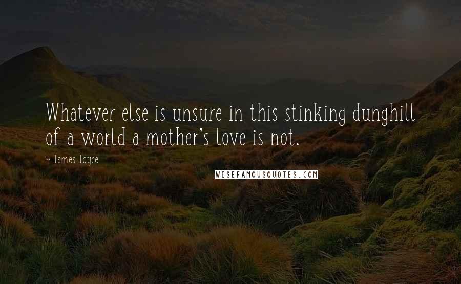 James Joyce Quotes: Whatever else is unsure in this stinking dunghill of a world a mother's love is not.