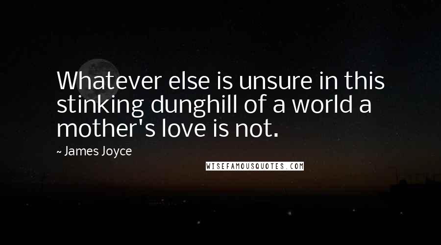 James Joyce Quotes: Whatever else is unsure in this stinking dunghill of a world a mother's love is not.